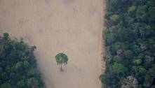 Mourão publica plano de redução de desmatamento na Amazônia 