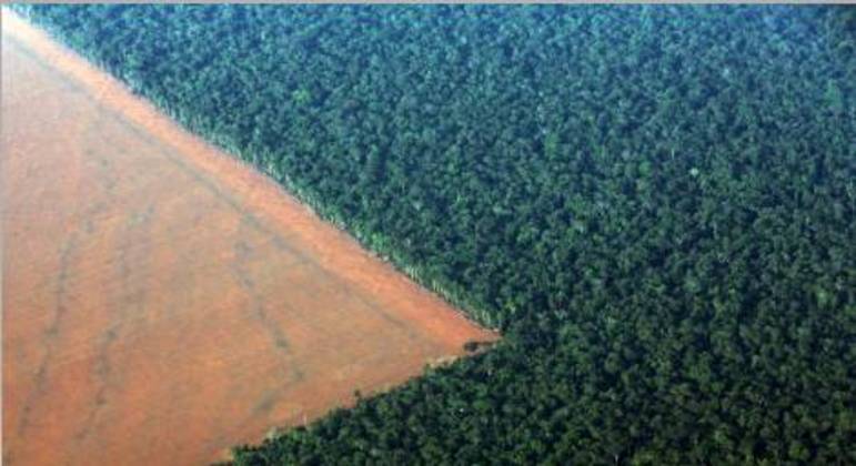 Desmatamento na floresta amazônica, em Mato Grosso 