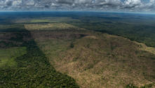 Alertas de desmatamento na Amazônia caem, mas continuam acima de 8 mil km² 