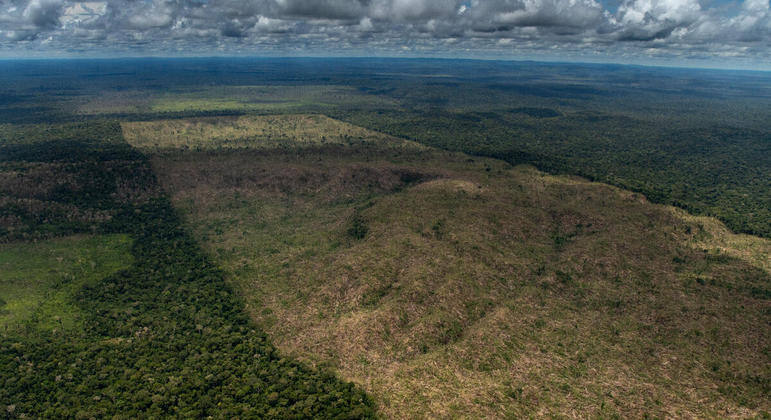 Imagem de desmatamento em floresta pública não destinada em Lábrea, na Amazônia, em 26 de março deste ano