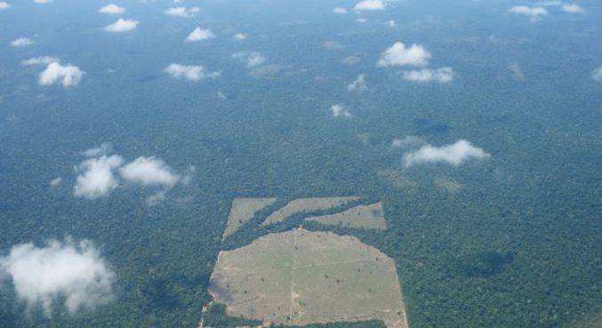 Amazônia registra recorde de desmatamento, com 10.781 km² de floresta destruídos
