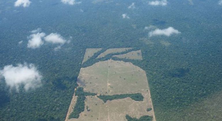 Desmatamento na Amazônia vem batendo recordes nos últimos anos