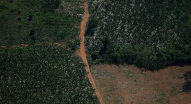 Vista aérea de região desmatada da Amazônia em Rondônia 