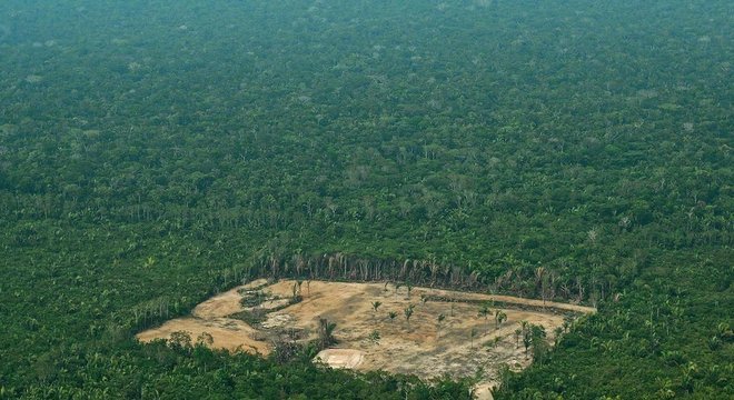 Amazônia perdeu 50 mil km² de matas nos últimos 7 anos 