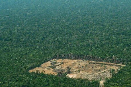  Amazônia perdeu 50 mil km² de terra nos últimos 7 anos