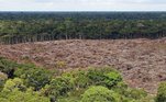 Desmatamento da Amazônia, em foto de arquivo