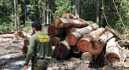 Desmatamento ilegal na região da Amazônia