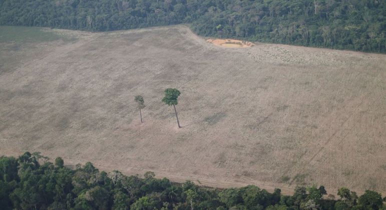 Área desmatada da Floresta Amazônica na região de Porto Velho (RO)