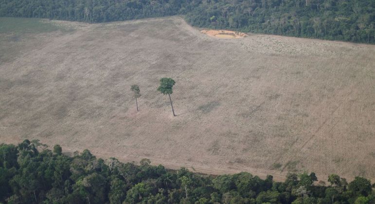 Área desmatada da floresta amazônica na região de Porto Velho (RO)