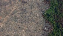 O que faz um processo de desmatamento da Amazônia demorar 28 anos para ter uma sentença