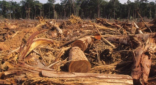 Dados oficiais mostram que o desmatamento na Amazônia é crescente desde 2012