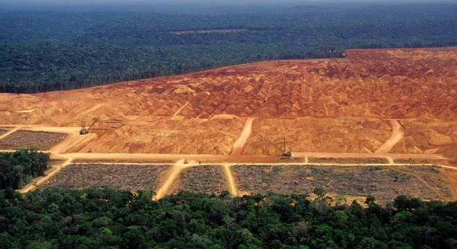 A destruição da vegetação nativa e as mudanças climáticas vão prejudicar diretamente o agronegócio no Brasil