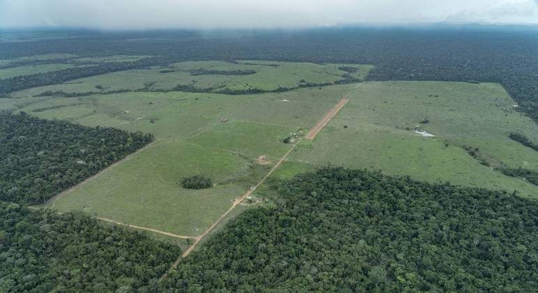 Imagem aérea mostra desmatamento na  Terra Indígena Piripkura (MT)
