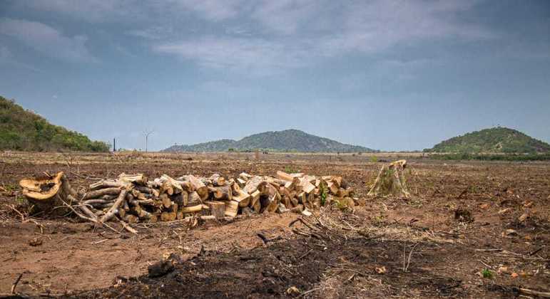 Desmatamento no cerrado
