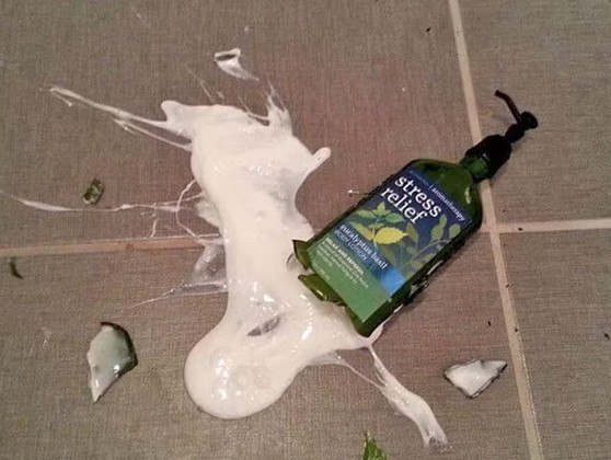 Esse creme pra aliviar o stress funciona mesmo?VALE SEU CLIQUE: Esquilo folgado se recusa a ir embora da casa de mulher que cuidou dele
