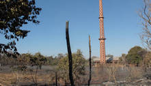 Incêndio deixa parte do Parque dos Poderes destruído