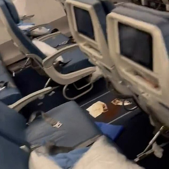 Assim ficou o carpete da aeronave, completamente tomada por fezes