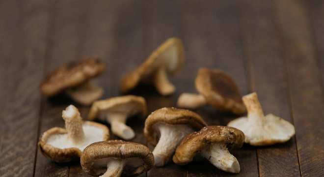 Dicas de como aumentar a imunidade para ter uma vida saudável