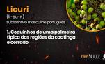 O licuri é o ingrediente regional favorito da chef Nara Amaral. Ele também foi usado por Arturo Baéz e Rubens Gonçalo em provas do programa