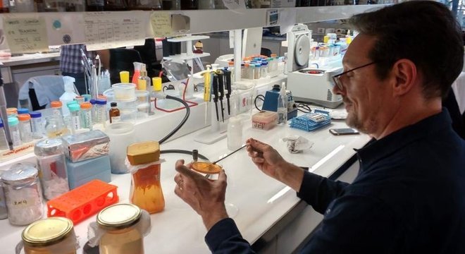 O pesquisador argentino Diego Comerci tem se dedicado ao desenvolvimento de testes rápidos para a dengue
