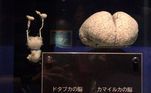 Um cérebro de tubarão (esquerda) comparado com o massivo cérebro de um golfinhoVEJA TAMBÉM: A lenda é real! Jacaré é visto em bueiro e aterroriza condomínio