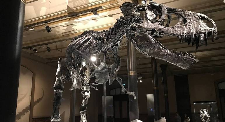 Dinossauros teriam sofrido com onda de frio antes da extinção causada pela queda de um meteorito