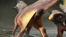 Cientistas descrevem ânus de dinossauro em detalhes pela 1º vez