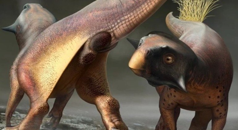 Cloaca de um dinossauro do tamanho de cachorro estava perfeitamente preservada