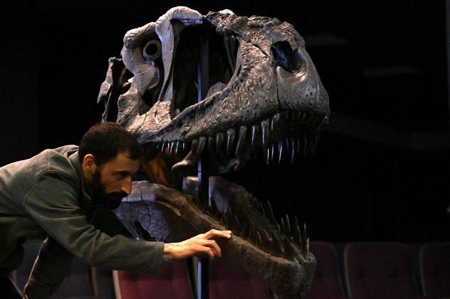 Cientistas descobrem novo dinossauro predador gigante com braços curtos,  como o T-Rex - SWI