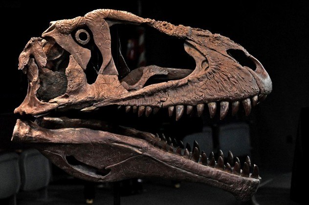 Um grupo de paleontólogos informou nesta quinta-feira (7) que encontrou uma nova espécie de dinossauro gigante e carnívoro com uma cabeça enorme e braços curtos, como o Tiranossauro Rex
