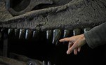 O Tiranossauro Rex, no entanto, não recebeu seus pequenos braços do Meraxes gigas, pois este foi extinto 20 milhões de anos antes do primeiro surgir, e as duas espécies estavam distantes uma da outra na árvore evolutiva 