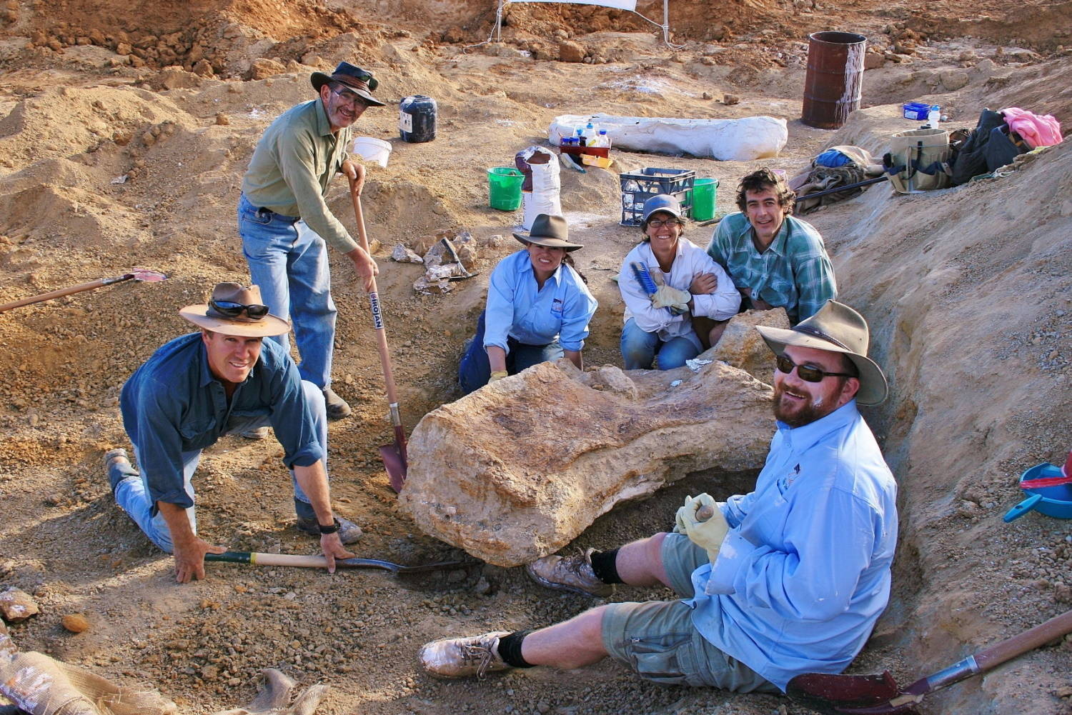 Dinossauro gigante descoberto há 15 anos finalmente ganha nome:  Australotitan - Canaltech