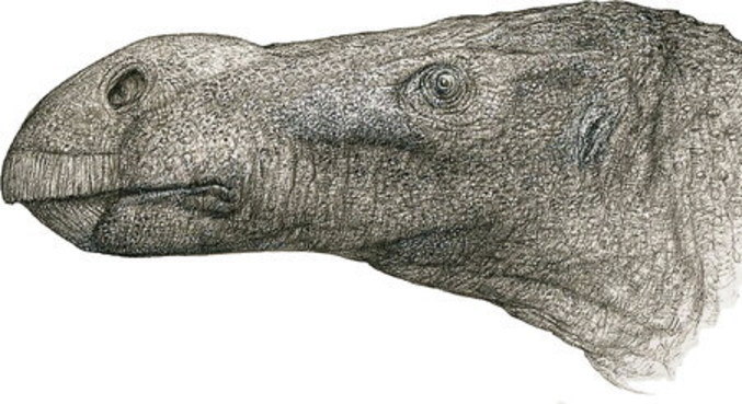 Dinossauro viveu na Terra há cerca de 125 milhões de anos