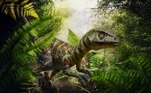 Dinossauro fóssil cauda de coração