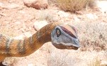 Dinossauro fóssil cauda de coração
