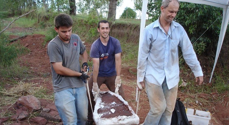 Fósseis foram descobertos em 2013 em Cruzeiro do Oeste, no Paraná
