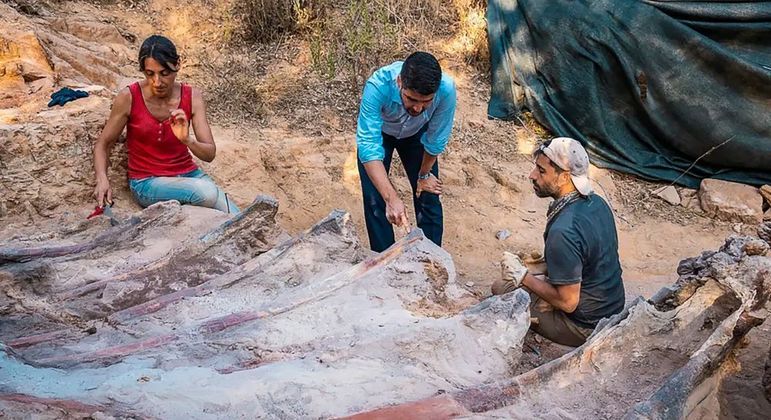 Paleontólogos, em Portugal, durante resgate dos fósseis do dinossauro saurópode