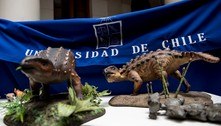 Dinossauro descoberto no Chile tem cauda que intriga cientistas