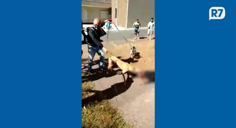 Ataque do cachorro galgo-africano ao yorkshire foi filmado por moradores