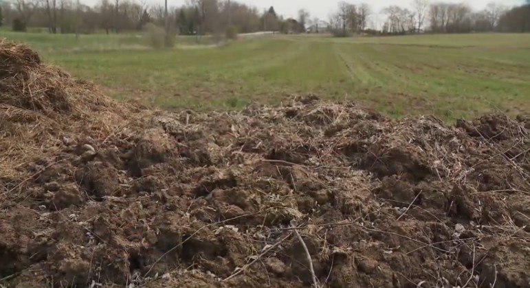Mureta de cocô tem deixado moradores desconfortáveis com o fedor