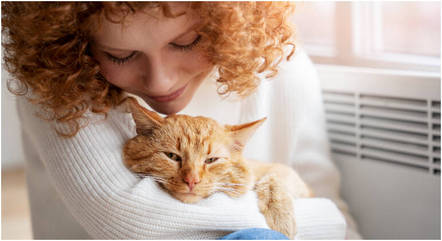 Diversos estudos mostram que o contato com gatos ajuda na saúde do coração