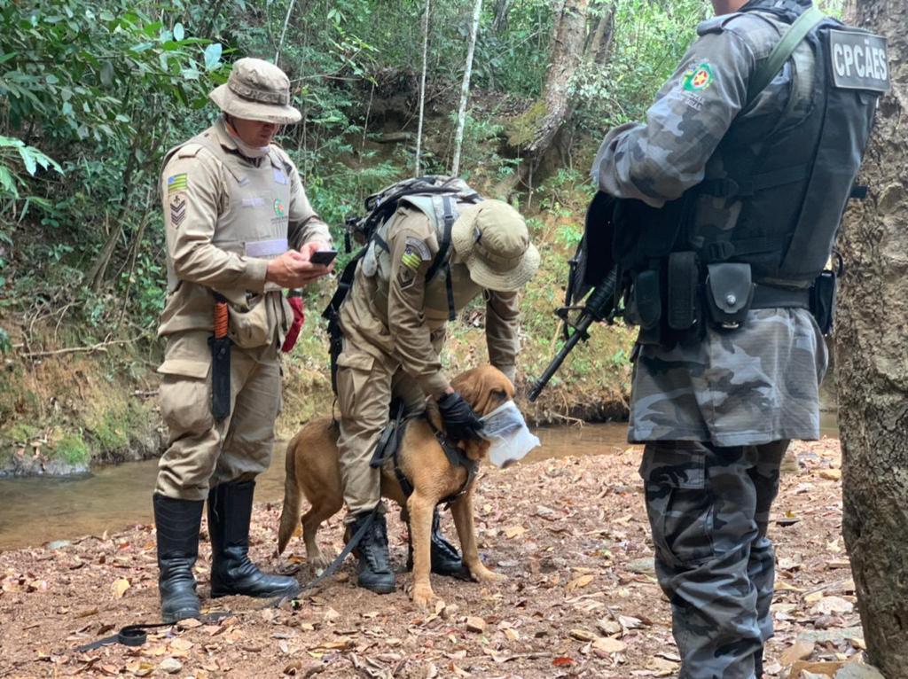 O cão da raça Bloodhound Hope fareja vestígio antes de começar buscas por Lázaro