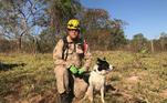 Cristal e os demais cães são acostumados a identificar o cheiro de pessoas, vivas ou mortas, sem a necessidade de entregar um objeto farejarem