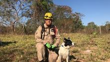 Famosa por Brumadinho, cadela Cristal ajuda nas buscas por Lázaro
