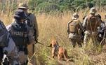 Hope, um cão da raça Bloodhound, é parceiro do Cabo Veloso na caçada ao suspeito