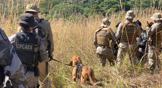 Ao todo, agora são cinco cães e suas equipes para encontrar Lázaro