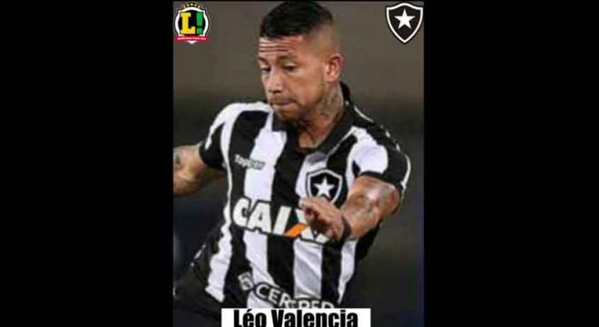 Divulgação/Botafogo
