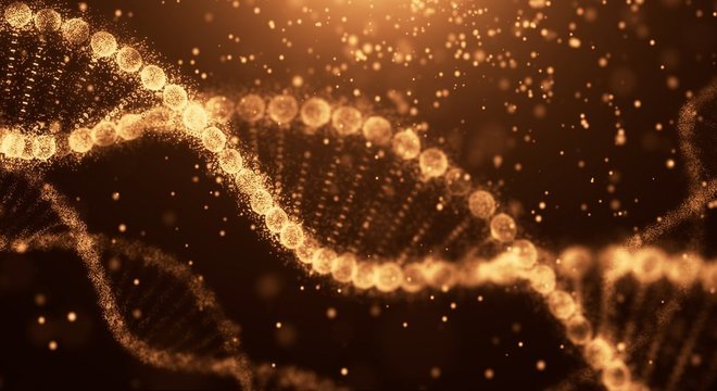 O nosso DNA contém as instruções para o funcionamento do corpo humano
