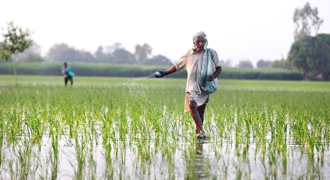 Na Índia, o aumento da vegetação é tributário principalmente da ampliação da agricultura; esta, no entanto, não contribui para a captura do carbono, como é o caso das florestas 