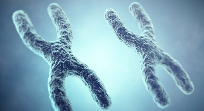 Melissa Wilson acredita que os dois cromossomos X do 23º par de mulheres têm a ver com as diferenças em seus sistemas imunológicos em relação aos homens 